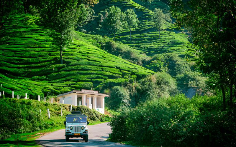 Romantic Munnar